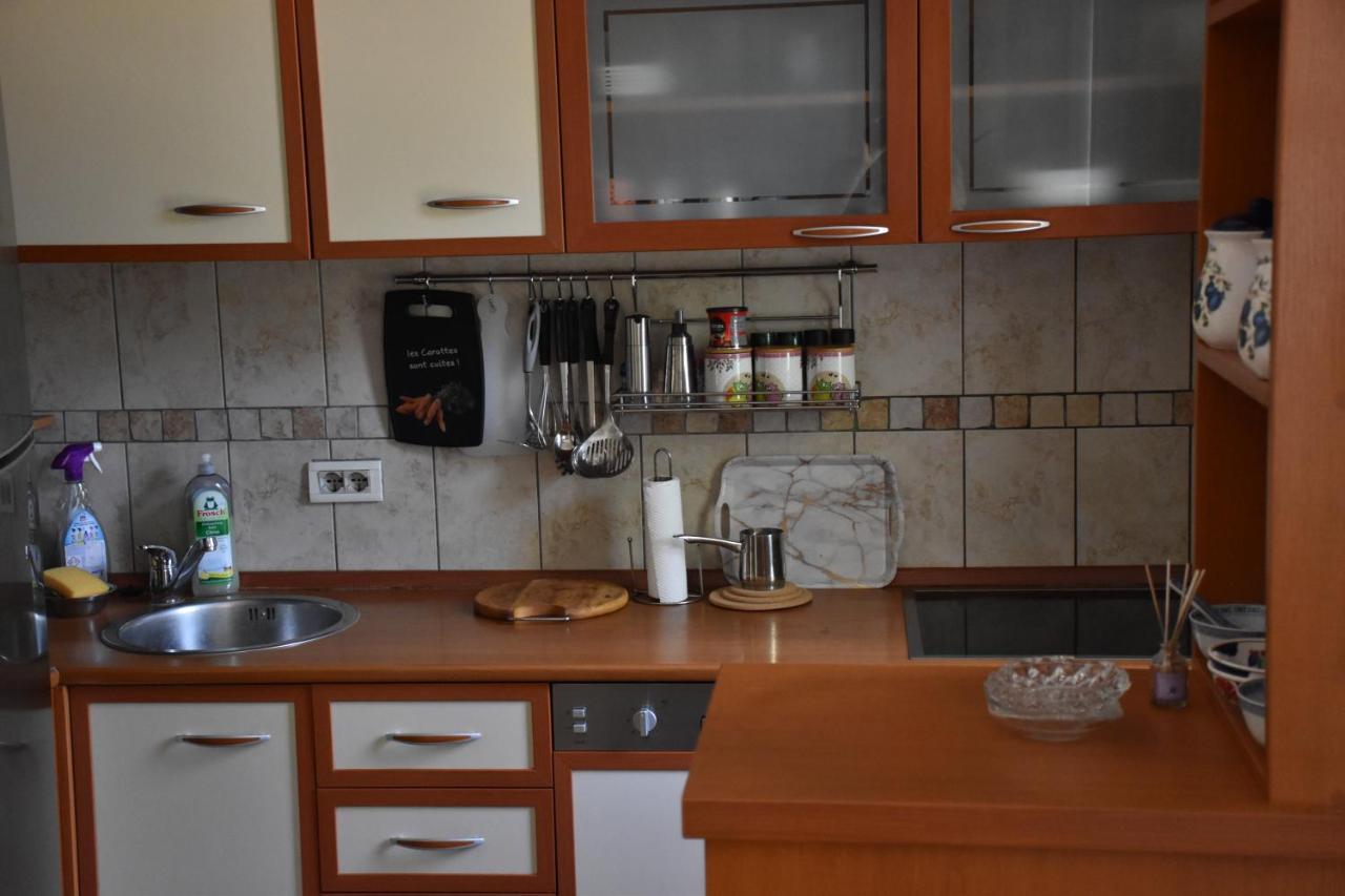 Apartment Music-Center, In The Center Of Podgorica Exterior photo